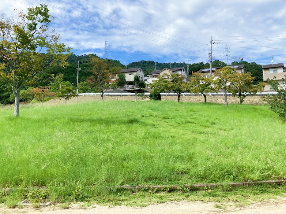 ポポロの森公園の丘